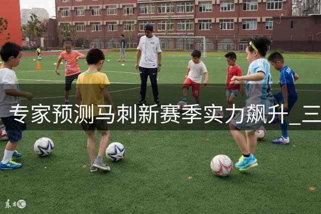 专家预测马刺新赛季实力飙升 三大因素或力压雷霆