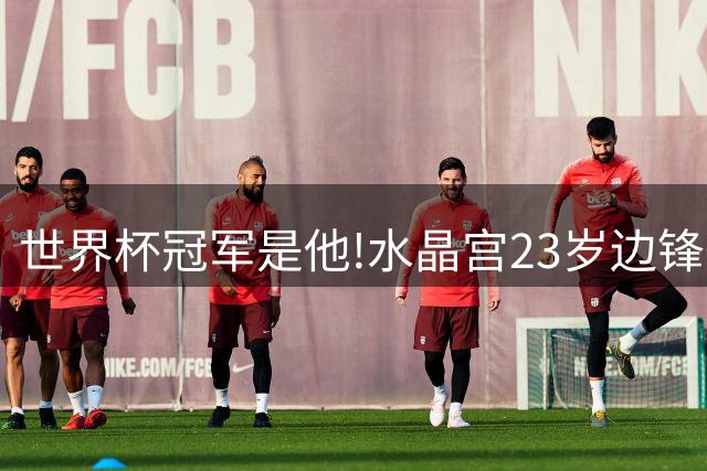 世界杯冠军是他!水晶宫23岁边锋一年两冠,新帅战术或成助推器