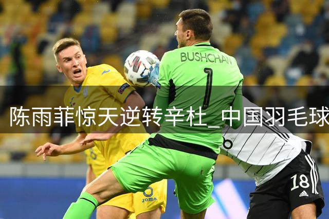 陈雨菲惊天逆转辛杜 中国羽毛球公开赛上演绝地反击